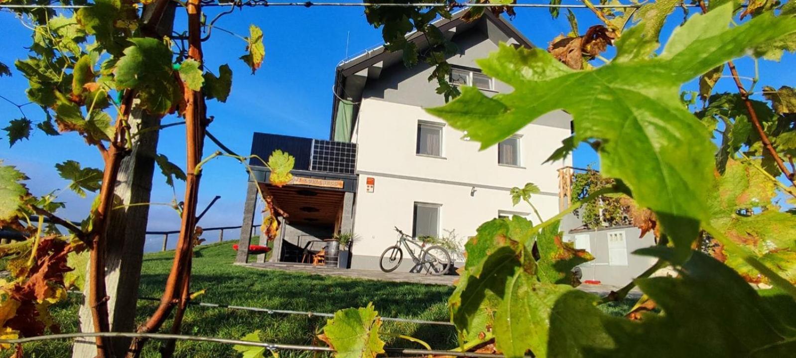 Apartmaji Gracner Dramlje 외부 사진